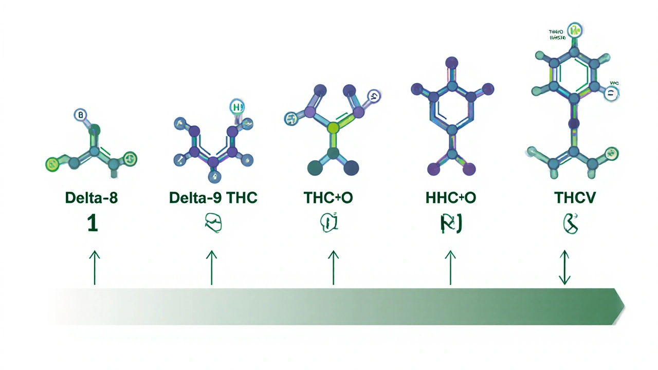Ilustrace molekul Delta‑8, Delta‑9, THC‑O, HHC a THCV s vizuálním srovnáním síly.