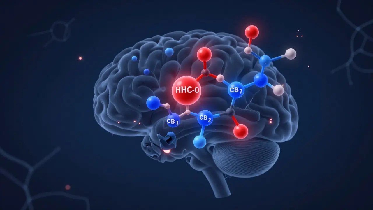 Abstraktní znázornění vazby HHC-O a delta 8 na receptor v mozku.