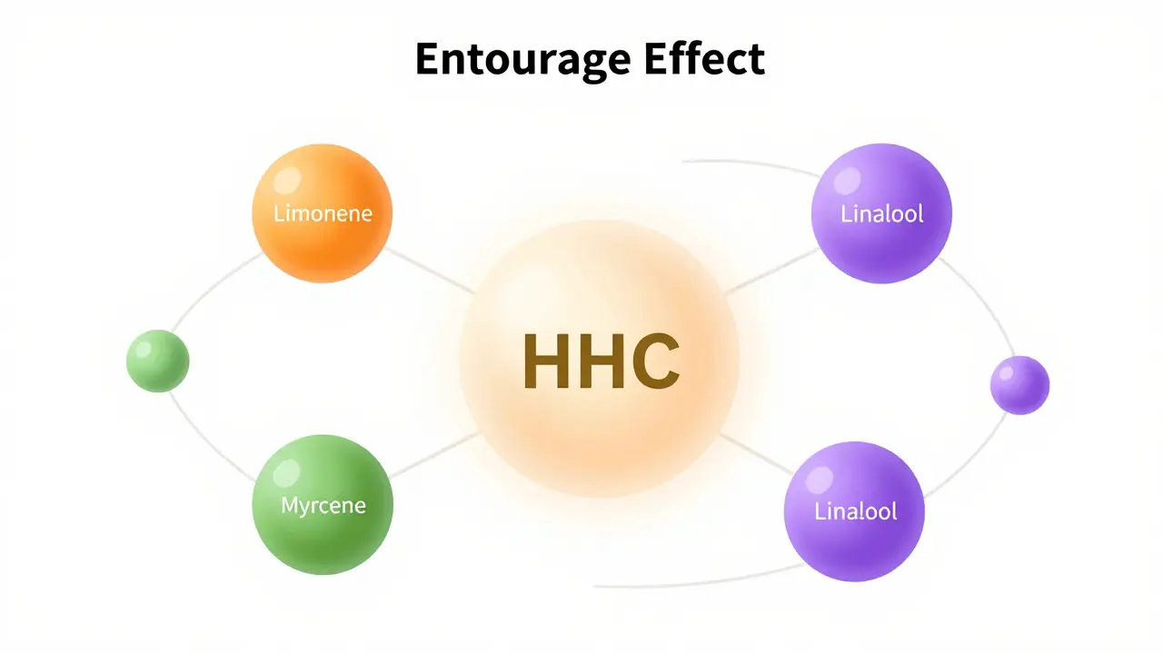 Ilustrace entourage efektu s molekulou HHC a barevnými koulkami terpenů.